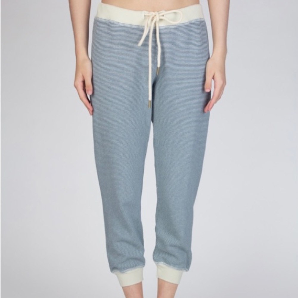 The Great blue & white striped sweatpants size 0